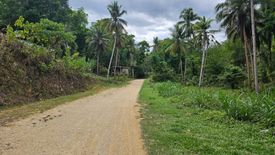 Land for sale in Cancatac, Bohol