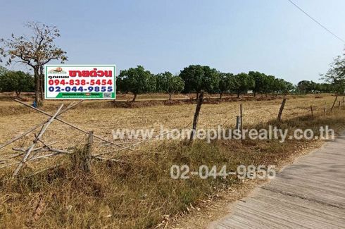 Land for sale in Nong Daeng, Maha Sarakham