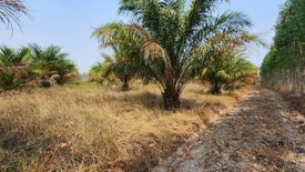 Land for sale in Yan Ri, Prachin Buri