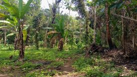 Land for sale in Mangas I, Cavite