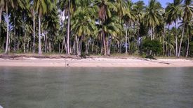 Land for sale in Aramaywan, Palawan