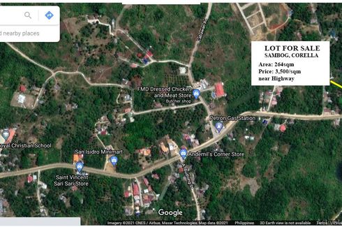 Land for sale in Sambog, Bohol