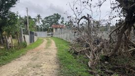 Land for sale in Santa Filomena, Bohol