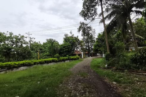 Land for sale in Pondol, Cebu