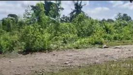 Land for sale in Tayud, Cebu