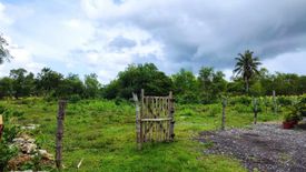 Land for sale in Dao, Bohol
