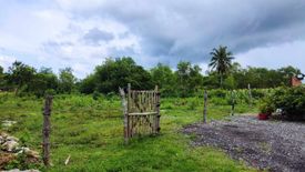 Land for sale in Dao, Bohol