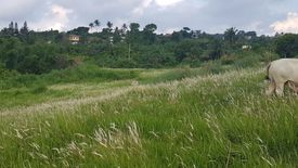 Land for sale in San Jose, Cavite