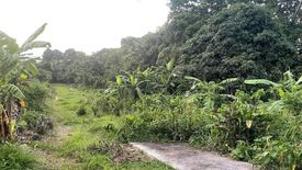 Land for sale in Luksuhin Ilaya, Cavite