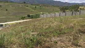 Land for sale in Talamban, Cebu