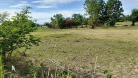 Land for sale in Saphan Hin, Chainat