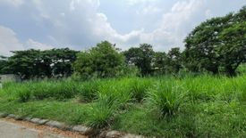 Land for rent in Pulong Santa Cruz, Laguna