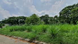 Land for rent in Pulong Santa Cruz, Laguna