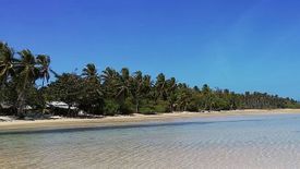 Land for Sale or Rent in Sibaltan, Palawan