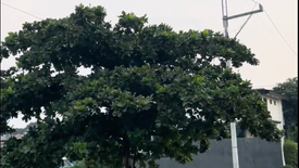 Land for sale in Batasan Hills, Metro Manila