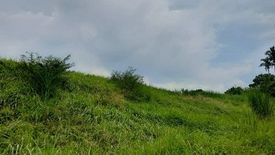 Land for sale in Tolentino East, Cavite