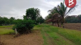 Land for sale in Hua Pluak, Saraburi