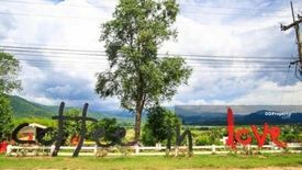 Land for sale in Thung Yao, Mae Hong Son