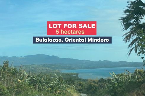 Land for sale in Campaasan, Oriental Mindoro