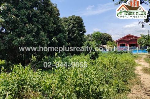 Land for sale in Rim Tai, Chiang Mai