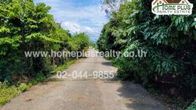 Land for sale in Rim Tai, Chiang Mai