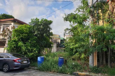 Land for sale in Greenwoods Executive Village, Bagong Ilog, Metro Manila