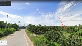 Land for sale in Si Phum, Chiang Mai