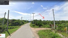 Land for sale in Si Phum, Chiang Mai