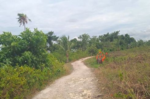 Land for sale in Saavedra, Cebu