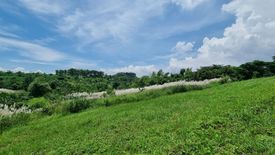 Land for sale in Forest Farms, The Grove, Mahabang Parang, Rizal