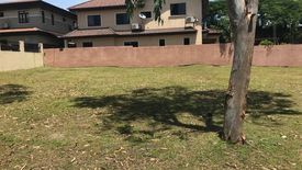 Land for sale in Almanza Dos, Metro Manila