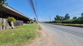 Land for sale in Nam Khok, Rayong