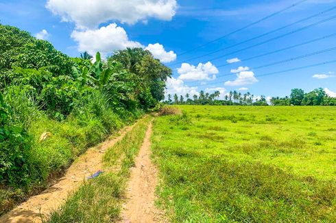 Land for sale in Natatas, Batangas