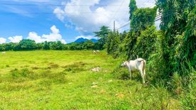 Land for sale in Natatas, Batangas