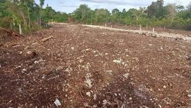 Land for sale in Bingag, Bohol