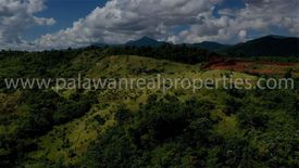 Land for sale in Santa Lourdes, Palawan