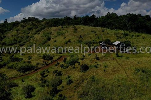 Land for sale in Santa Lourdes, Palawan