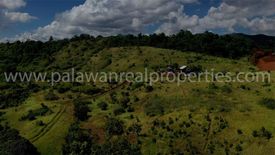 Land for sale in Santa Lourdes, Palawan