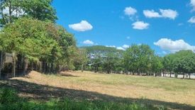 Land for sale in New Alabang Village, Metro Manila