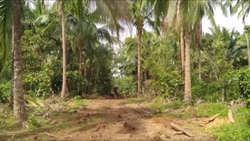 Land for sale in Mangas I, Cavite