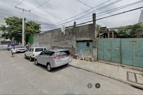 Land for sale in Palanan, Metro Manila