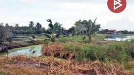 Land for sale in Phraek Nam Daeng, Samut Songkhram
