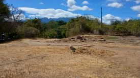 Land for sale in Masaplod Norte, Negros Oriental