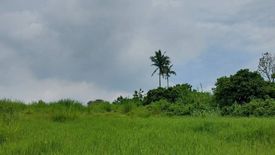 Land for sale in Tolentino East, Cavite