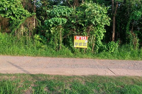 Land for sale in Nong Sawan, Nong Bua Lamphu
