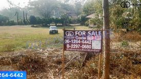 Land for sale in Pha Sing, Nan