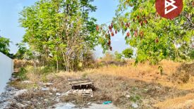 Land for sale in Nong Hong, Chonburi