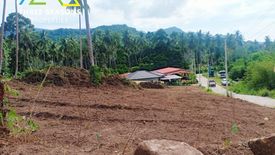 Land for sale in Bo Phut, Surat Thani