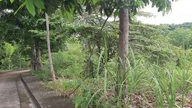 Land for sale in San Roque, Cebu