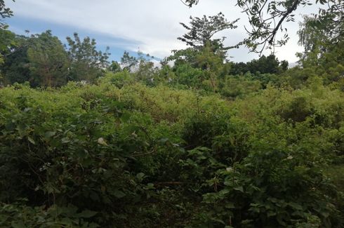 Land for sale in Paliton, Siquijor